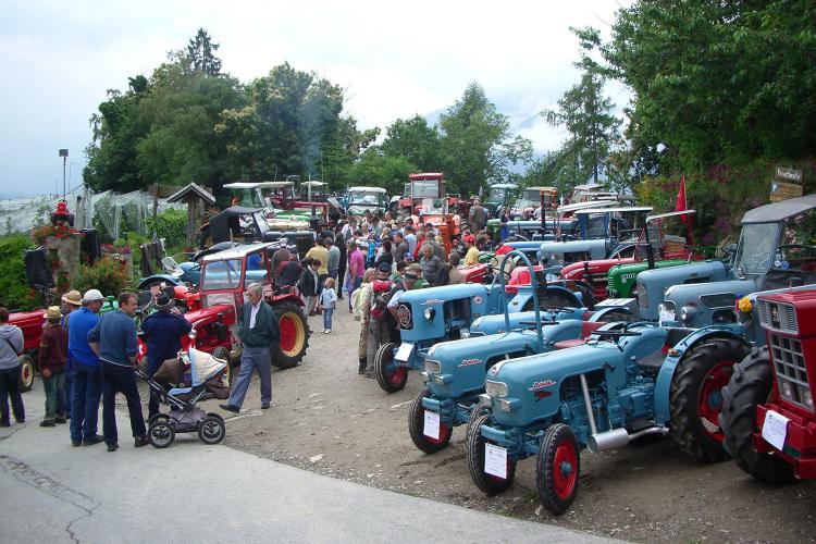 Oldtimer Traktoren Treffen am Ungericht Hof